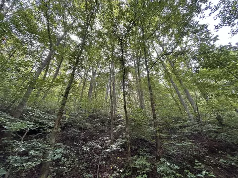 9999 Creek Mart Rd, Flat Lick, KY 40935