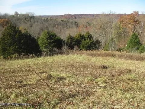 0 Tea Run Rd, Ewing, KY 41039 photo 15