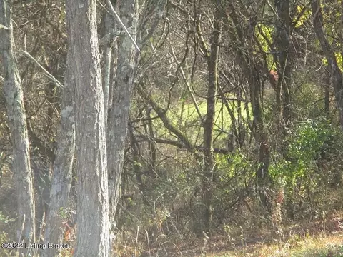 0 Tea Run Rd, Ewing, KY 41039 photo 27