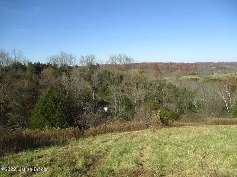 0 Tea Run Rd, Ewing, KY 41039 photo 25