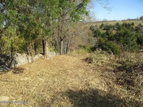 0 Tea Run Rd, Ewing, KY 41039 photo 20