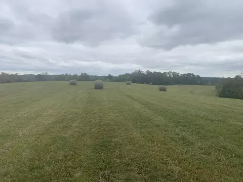 0 Tea Run Rd, Ewing, KY 41039 photo 33