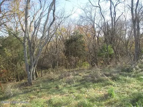 0 Tea Run Rd, Ewing, KY 41039 photo 28