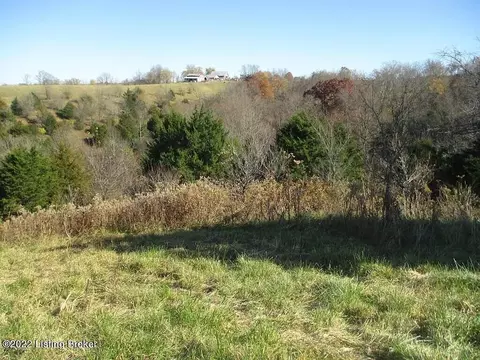 0 Tea Run Rd, Ewing, KY 41039 photo 26