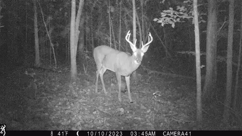 6001 W Hwy 635, Science Hill, KY 42553