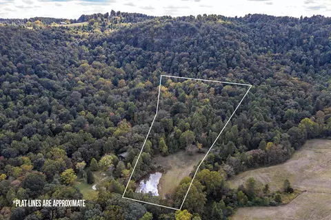 436 Radford Hollow Rd, Berea, KY 40403