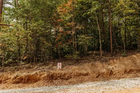 tbd Lot 19 Sandy Ridge Rd, Campton, KY 41301