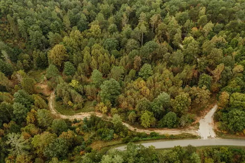 tbd Lot 22 Sandy Ridge Rd, Campton, KY 41301