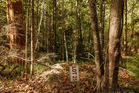 tbd Lot 25 Sandy Ridge Rd, Campton, KY 41301