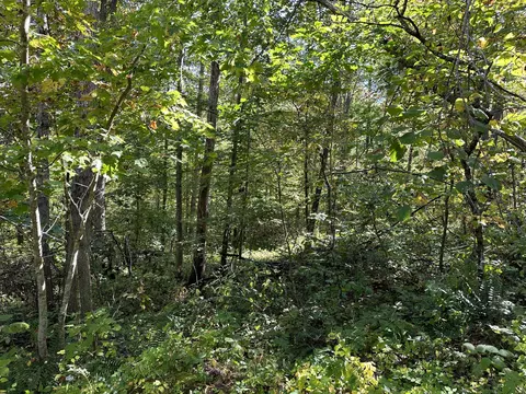 2 Williams Creek Rd, Rush, KY 41168 photo 30