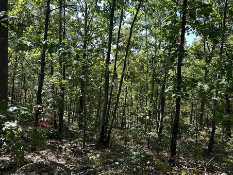 2 Williams Creek Rd, Rush, KY 41168 photo 29