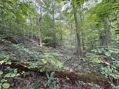 2 Williams Creek Rd, Rush, KY 41168 photo 25