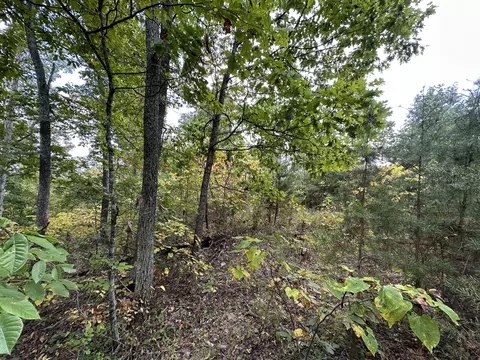 2 Williams Creek Rd, Rush, KY 41168 photo 26