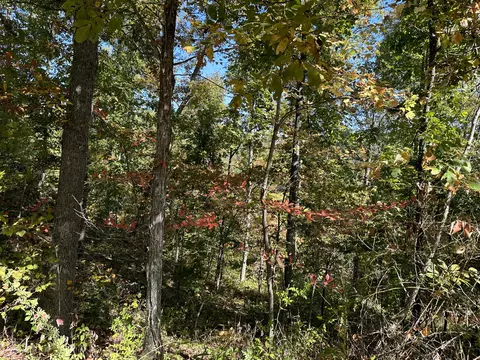 2 Williams Creek Rd, Rush, KY 41168 photo 28