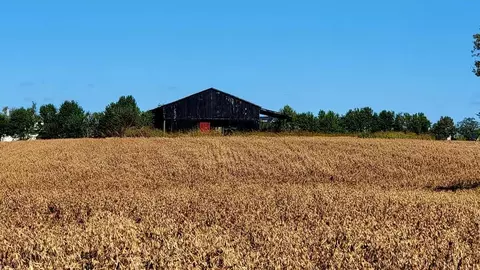 4485 Frankfort Pike, Georgetown, KY 40324