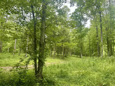 1815 Baldwin Rd, Mckee, KY 40447 photo 39
