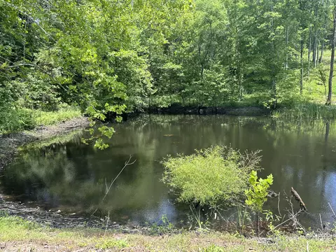 1810 Baldwin Rd, Mckee, KY 40447 photo 39