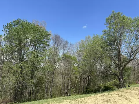 lot2 Baldwin Rd, Mckee, KY 40447 photo 39