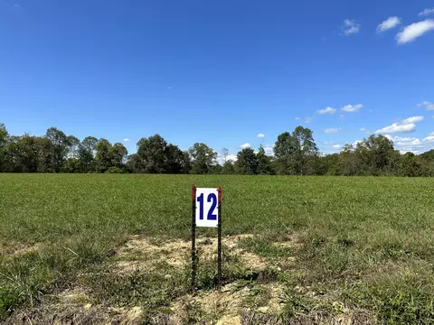 lot12 Baldwin Rd, Mckee, KY 40447