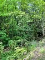 740 Cool Springs Rd, Manchester, KY 40962