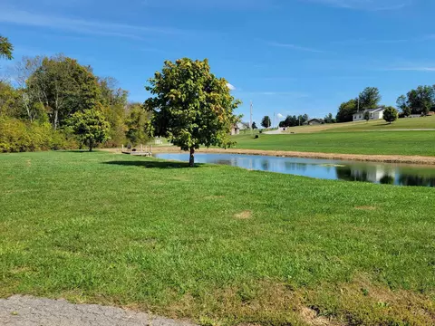 119 Lake View Rd, Ewing, KY 41039 photo 45