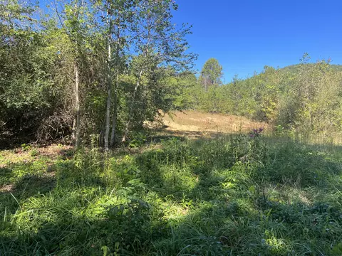 1111 Shelby Hurst Rd, Williamsburg, KY 40769