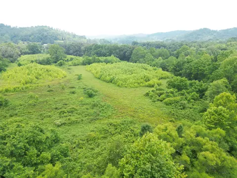9991 Ben House Rd, Manchester, KY 40962