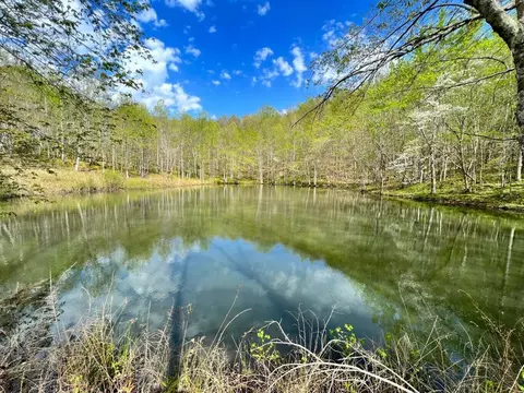 9999 Portersburg Rd, Manchester, KY 40962