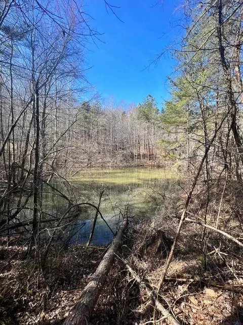 9999 Ray Johnson Rd, East Bernstadt, KY 40729