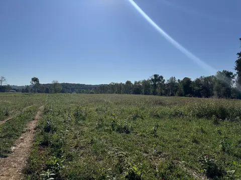 0 Coomer Rd, Burnside, KY 42519 photo 4