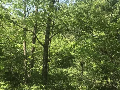 00 Aden Rd, Olive Hill, KY 41164