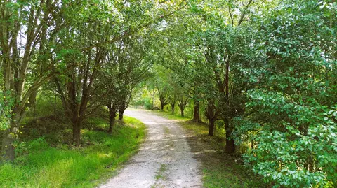 545 Ky 1527, Gray, KY 40734 photo 10