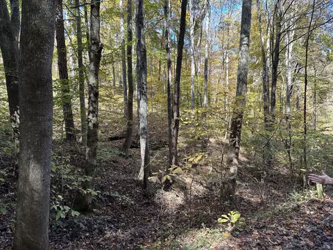 000 Cannon Hollow Rd, Bronston, KY 42518