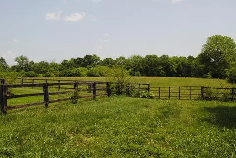 1312 Ruddles Mill Rd, Paris, KY 40361