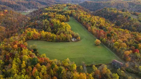 9999 Tennessee Ridge Rd, Parksville, KY 40464