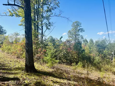 0000 Gumm Rd, London, KY 40741