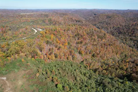 99 Coon Creek Rd, Hyden, KY 41749