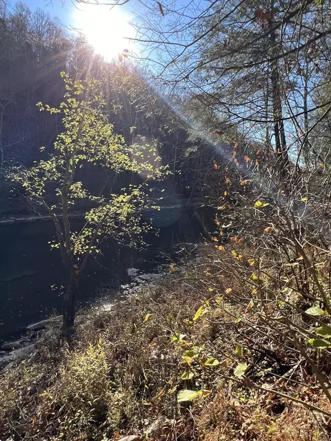 1844 Meece Rd, Somerset, KY 42501