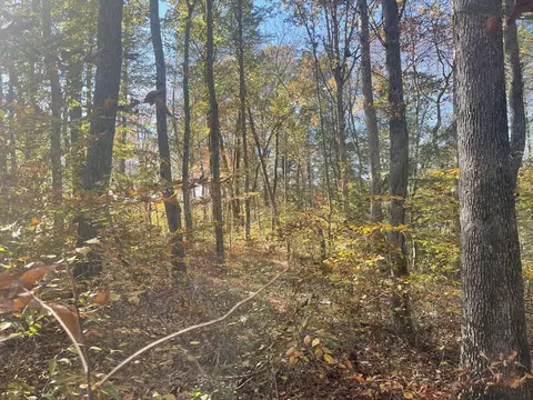 Lot 201 Stillwater, Russell Springs, KY 42642
