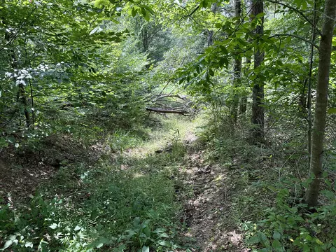 8 Ky Route 773, Hitchins, KY 41146