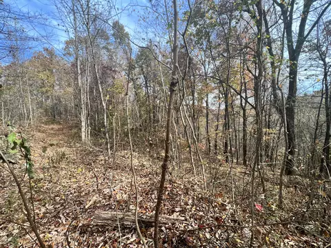 9999 Bar Creek Rd, Manchester, KY 40962