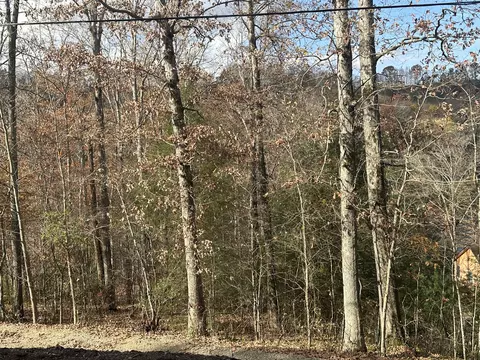 lot10 Laurel Cove Rd, London, KY 40741