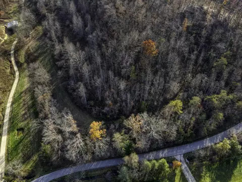 0000 Blaze Rd, West Liberty, KY 41472