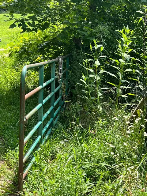 965 Parkers Branch Rd, Flat Lick, KY 40935