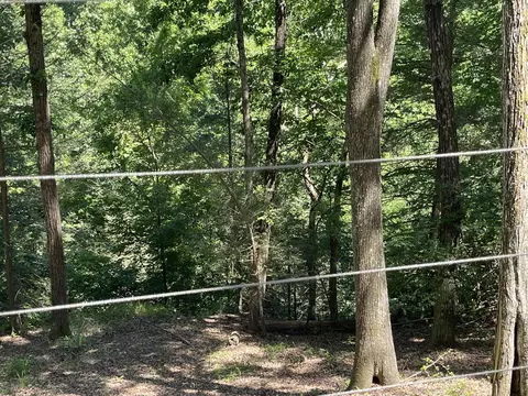 367 Covaky Rd, Campton, KY 41301 photo 16