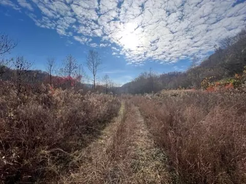 00 Salem Church Rd, Harold, KY 41635