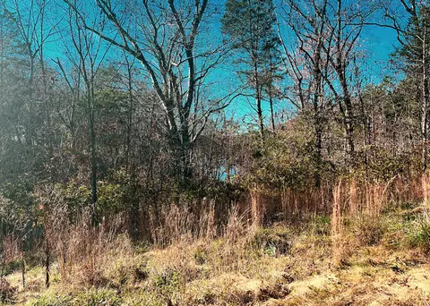 602 Stonegate Dr, Burnside, KY 42519 photo 6