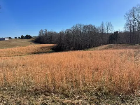 553 Della Winchester Rd, Nancy, KY 42544