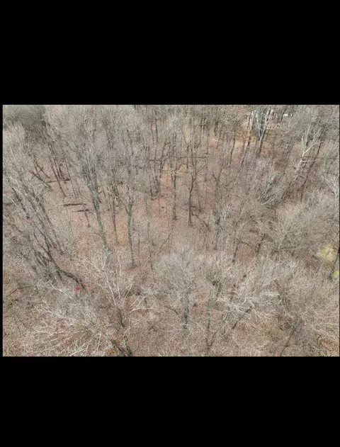 9794 E Bend Rd, Burlington, KY 41005 photo 3
