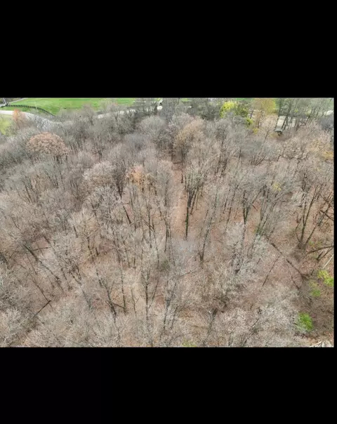 9794 E Bend Rd, Burlington, KY 41005 photo 5